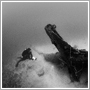 Underwater photograph - Fallen - Pongsatorn Sukhum