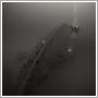 Underwater photograph - Boatswain's Call - Pongsatorn Sukhum