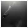 Underwater photograph - Solitude - Pongsatorn Sukhum