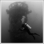 Underwater photograph - The Castle - Pongsatorn Sukhum