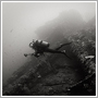 Underwater photograph - Charred - Pongsatorn Sukhum