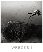Wrecks I image gallery