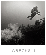 Wrecks II image gallery